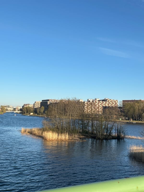 Spring evening walk documented across Saint Petersburg waterways and parks