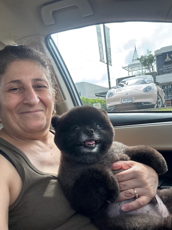 Black Pomeranian and its owner ride through Wichit traffic