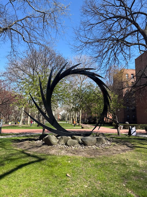Street market operates in NYC selling clothing and goods