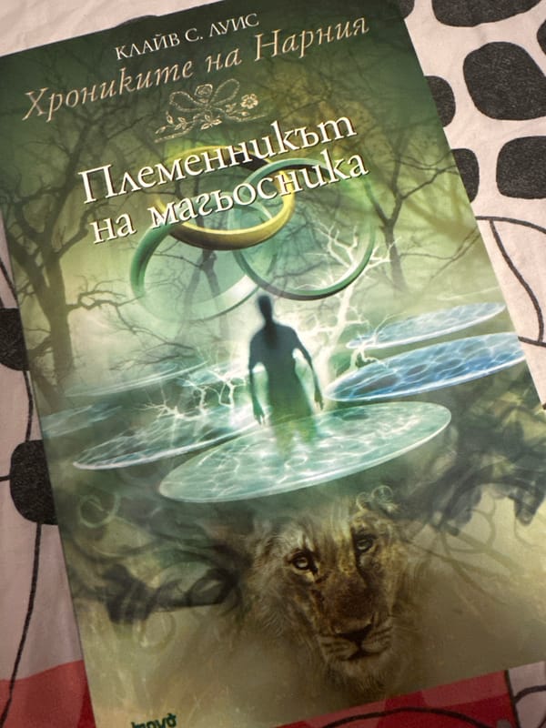 Sofia resident catalogs fantasy book collection during late night