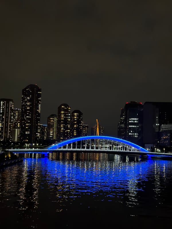 Woman captures nighttime Tokyo skyline selfies from illuminated bridge