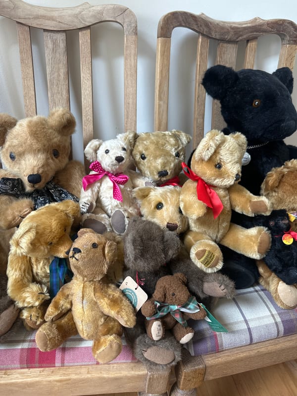 Teddy bear collections documented in Wealden homes