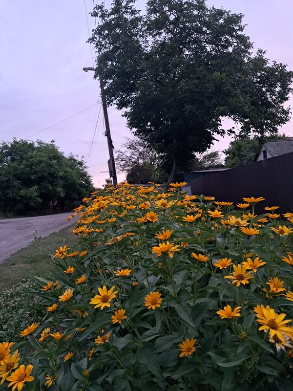 Summer evening walk through Kremenchuk neighborhoods at golden hour