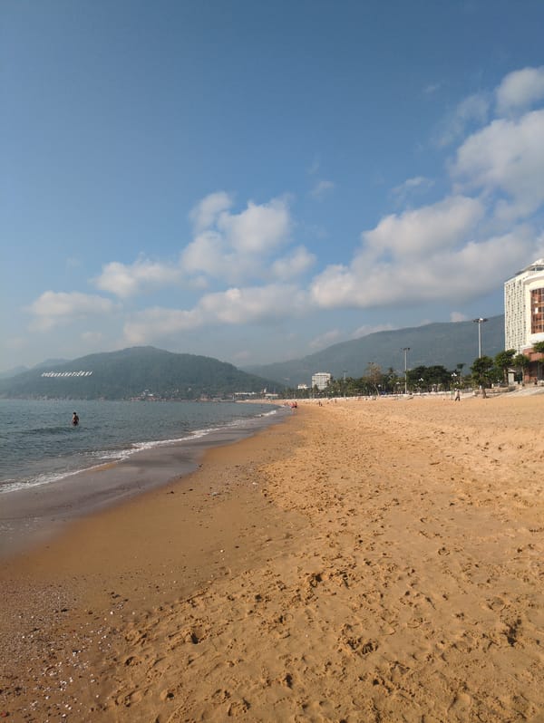 Mixed scenes documented across South Quy Nhon Ward, Vietnam