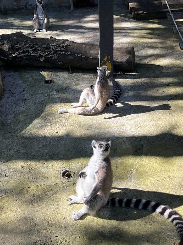 Zoo and adventure park visit in Stara Zagora, Bulgaria