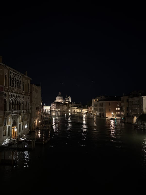 Evening lights illuminate Venice's Grand Canal, witness documents