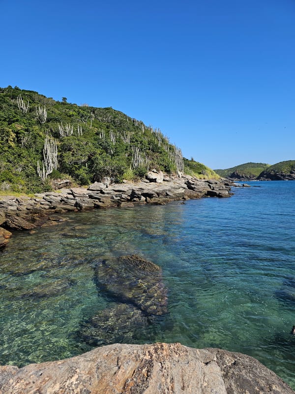 Man fishes from cliff in Armação dos Búzios