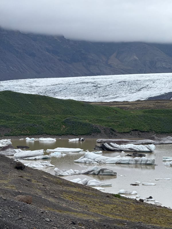 Witness documents Iceland glacial lagoon with blooming lupines