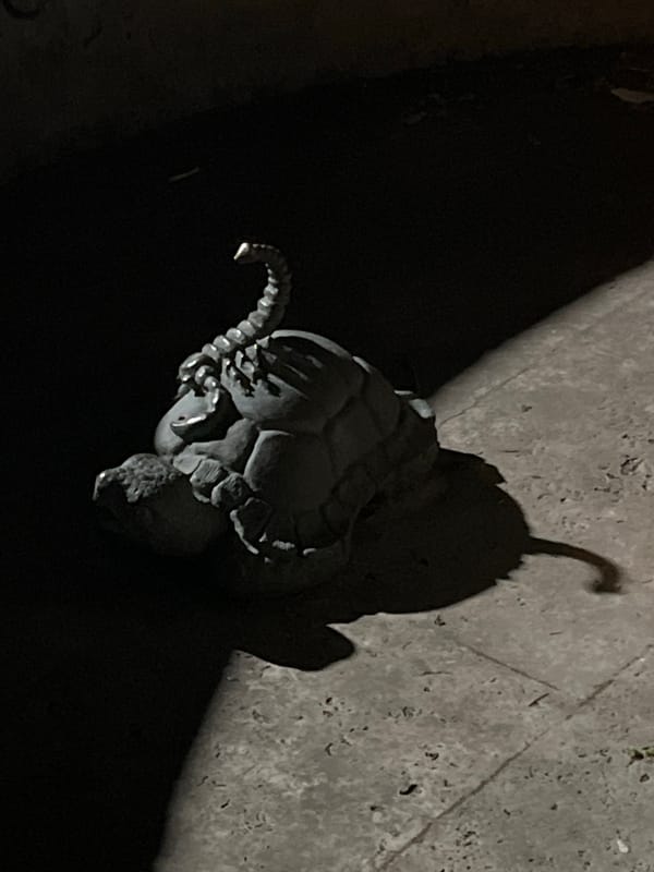 Evening scenes captured across Tbilisi neighborhoods