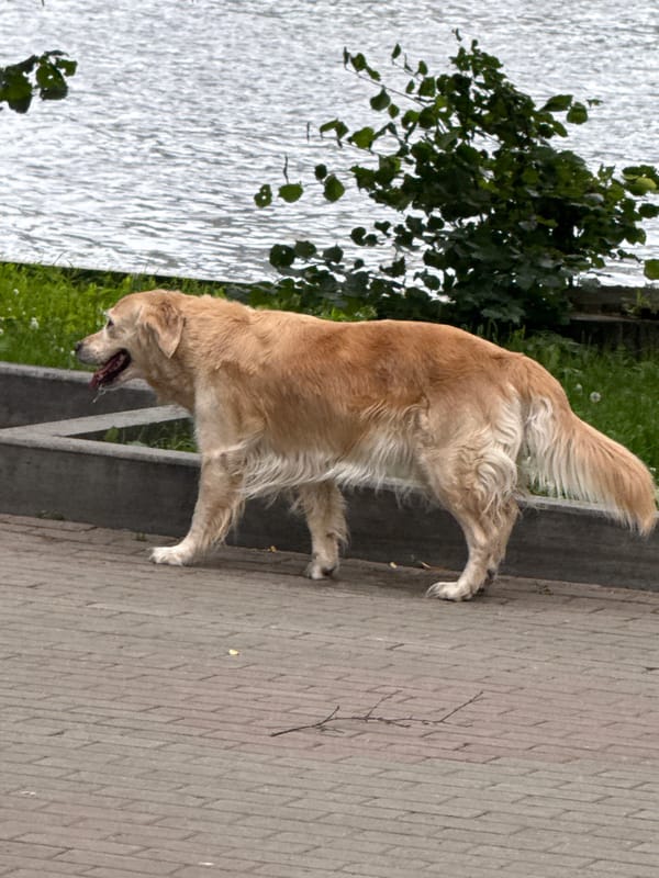 Summer afternoon on Yekaterinburg's waterfront embankment