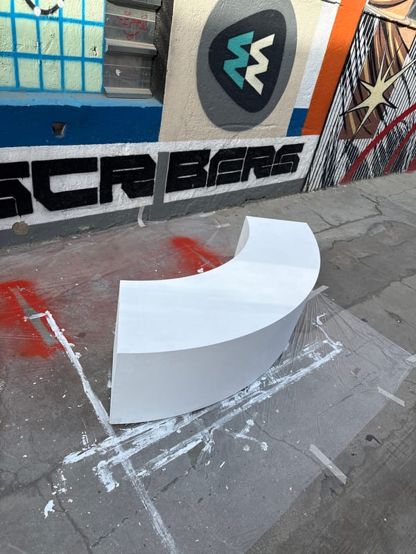 Barcelona alleyway street art and wildlife documented by witness