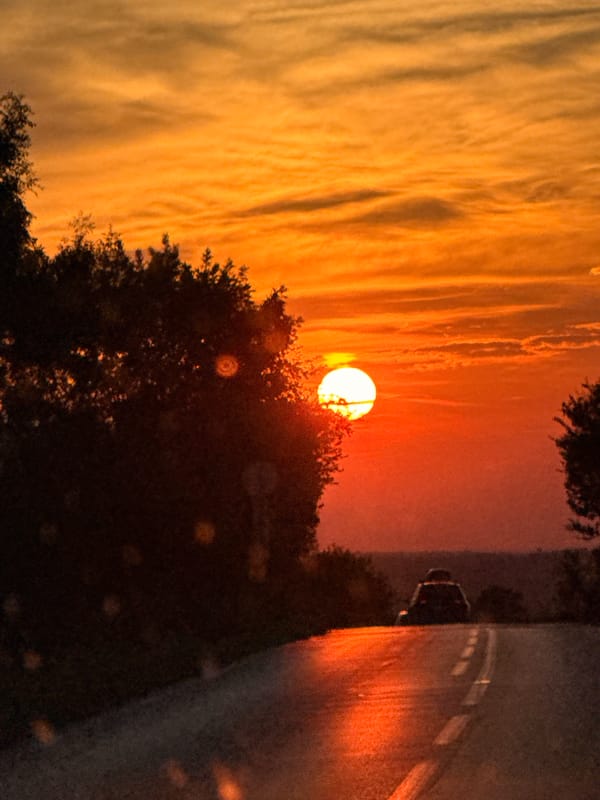 Vivid sunset behind silhouetted trees in rural Bulgaria