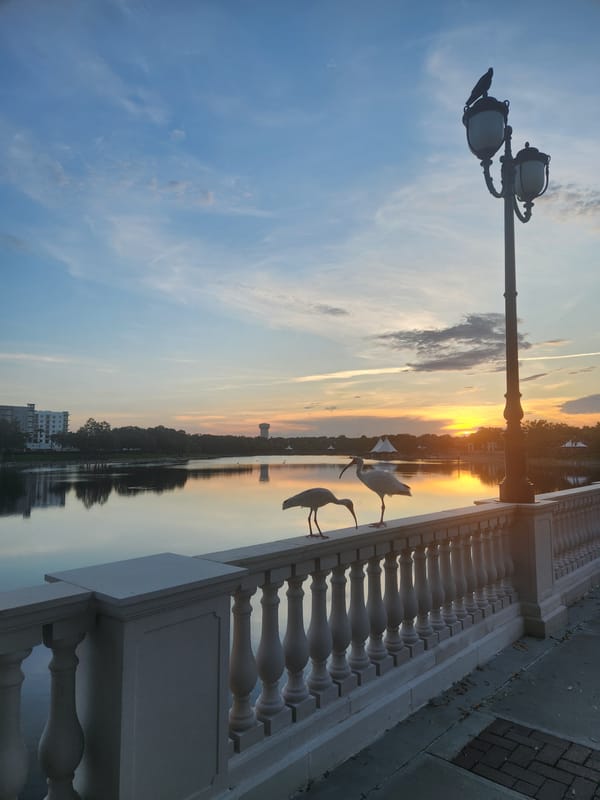 Golden hour at Crane's Roost Park, Altamonte Springs