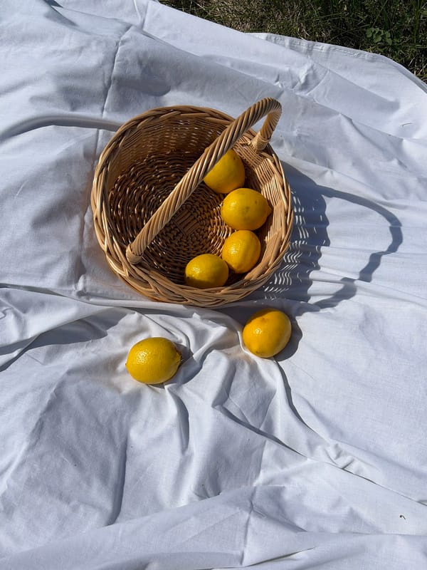 Lemons arranged on outdoor sheet in Foki, Russia