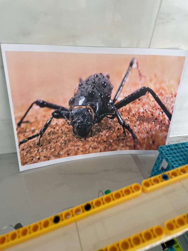 School visit captured in Zlatograd, Bulgaria educational facility