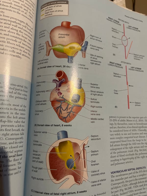 Medical anatomy study session covering cardiovascular system in Jalingo