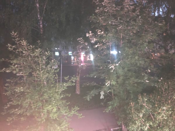 A cozy evening in at a Kirov apartment, cats and all