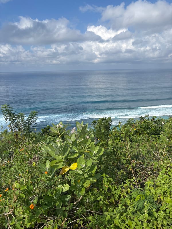 Coastal pathways and ocean views documented in Kuta Selatan