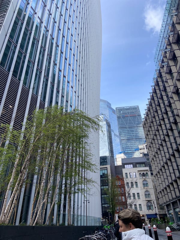 London observer documents urban architecture and tiger shop display