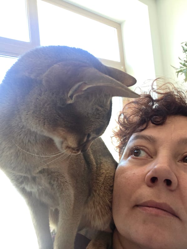 St. Petersburg resident shares morning selfies with cat, outfit