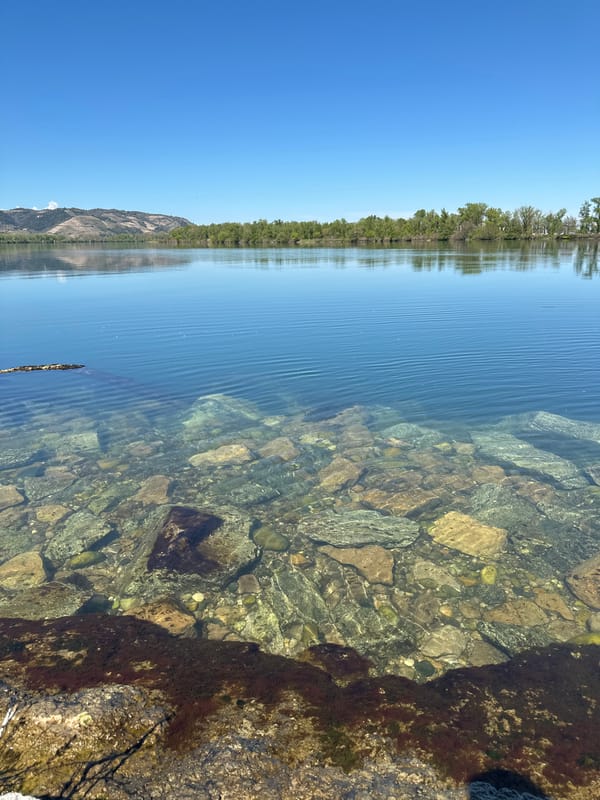 Clear water body observed with visible underwater rocks and pebbles
