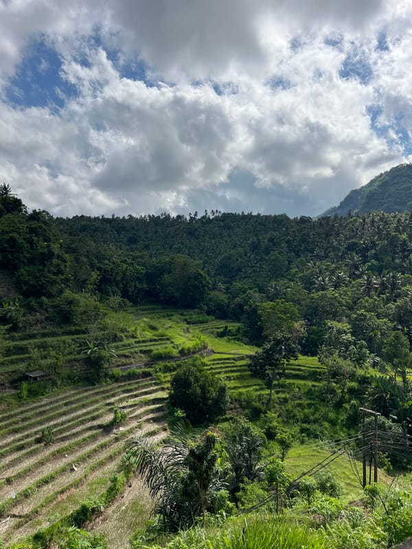 Rice terraces documented in lush Abang, Indonesia landscape