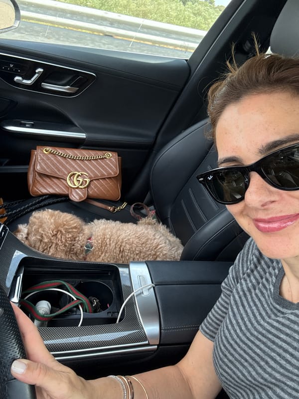 Woman takes car selfie with small dog in Santarém