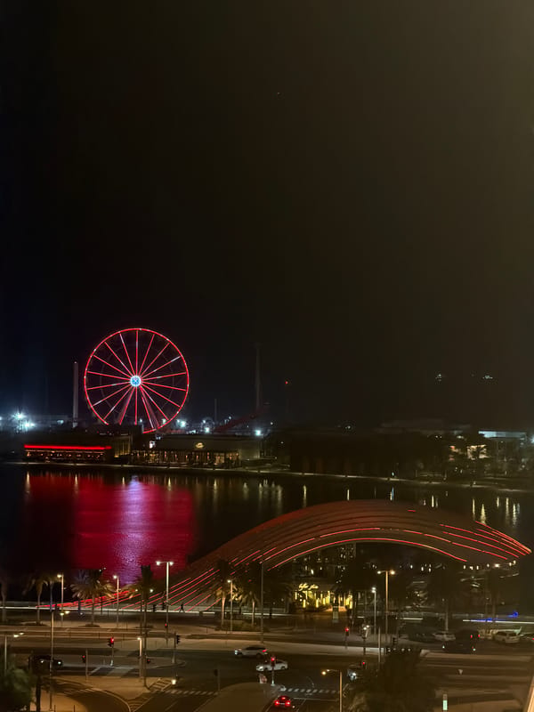 FIFA World Cup night vibes: city lights, Ferris wheel, McDonald's meal