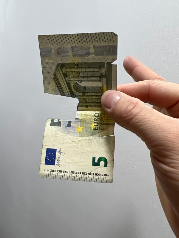 Torn Euro bill and orange cat observed within hour