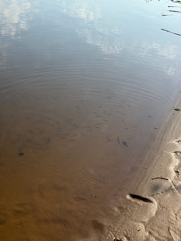 Morning fishing and recreation documented at Chaikovsky waterfront
