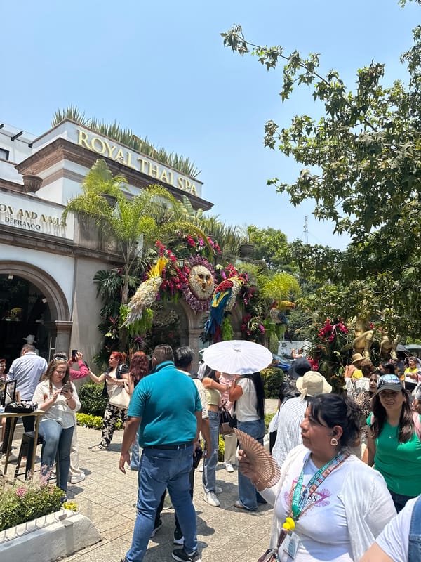 Floral festival draws crowds to decorated Mexico City buildings