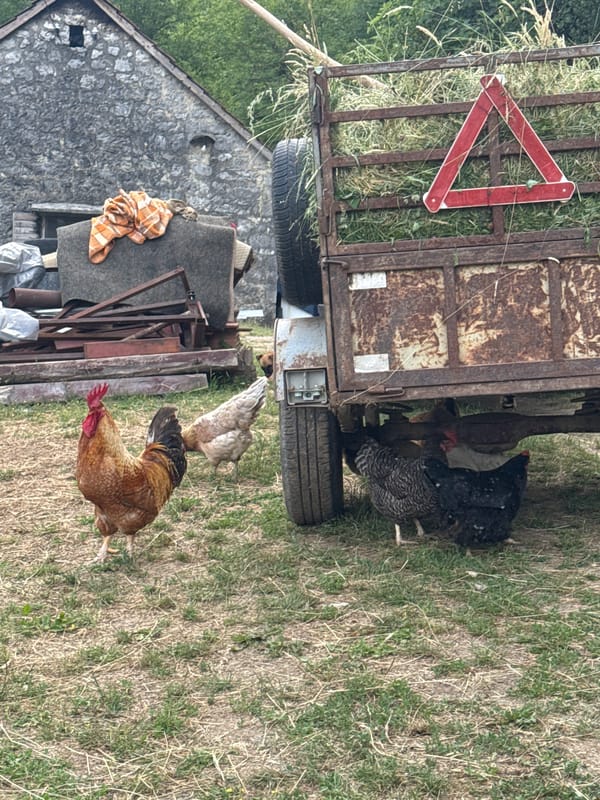 Rural life documented in Montenegro village during afternoon