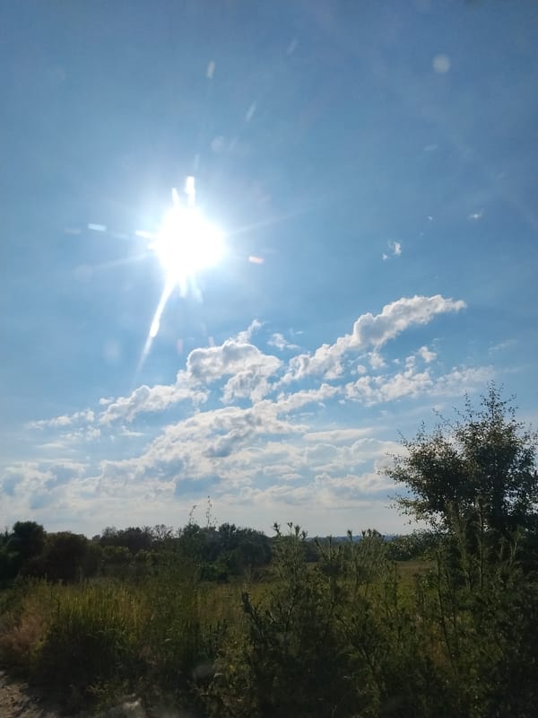 Quiet summer morning scenes from rural Ustyvytsia, Ukraine