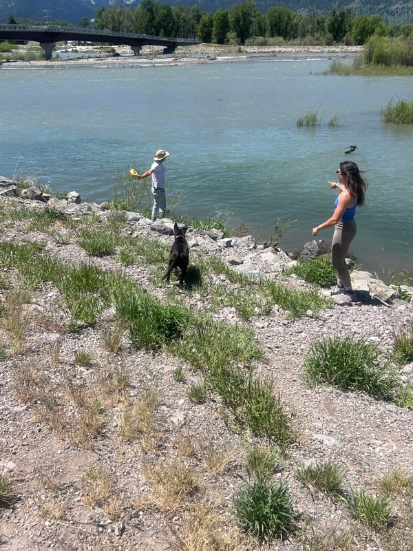 People, dogs enjoy sunny afternoon by Snake River near Wilson