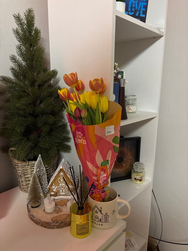 Evening glimpses of flowers and online browsing in Bulgarian town