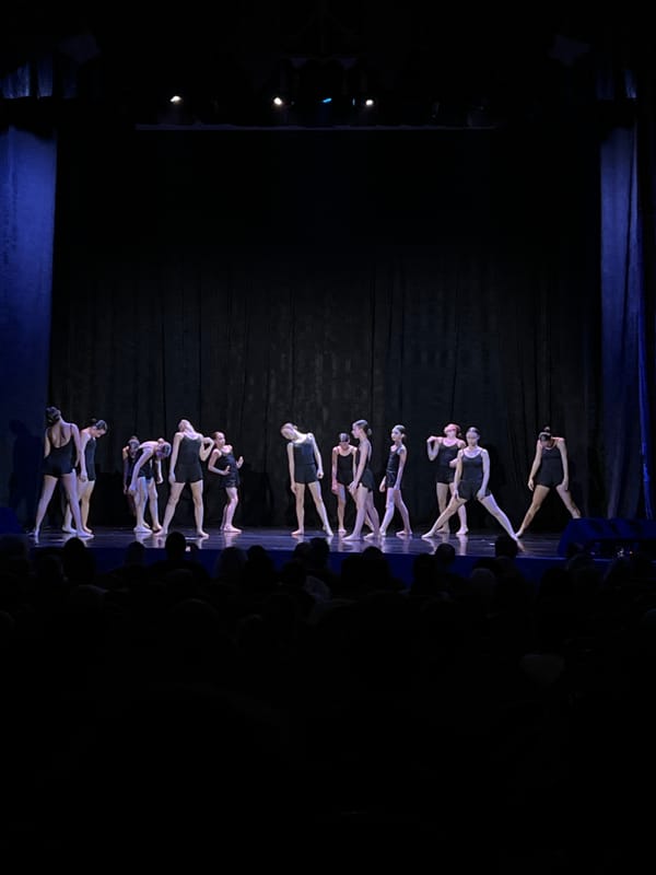Ballet performance with dozen dancers captured in Saint Petersburg theater