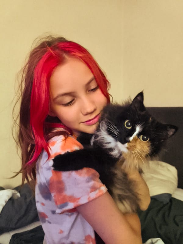 Calico cat held close, indoors, with colorful hair in frame