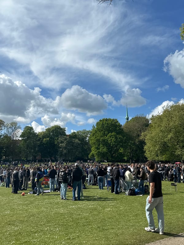 Large crowd gathers for outdoor event in Kiel park