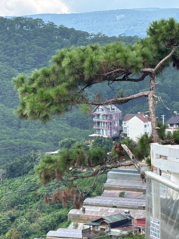 Da Lat's pine hills, colonial architecture, and highland cafe life