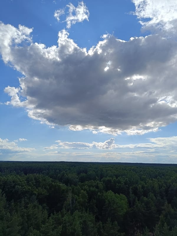 Forest and skyline views from Riga's wooded outskirts