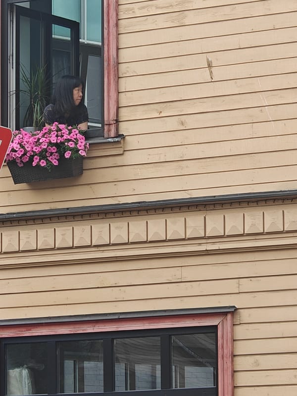 Leaning out a flower-framed window of a wooden building