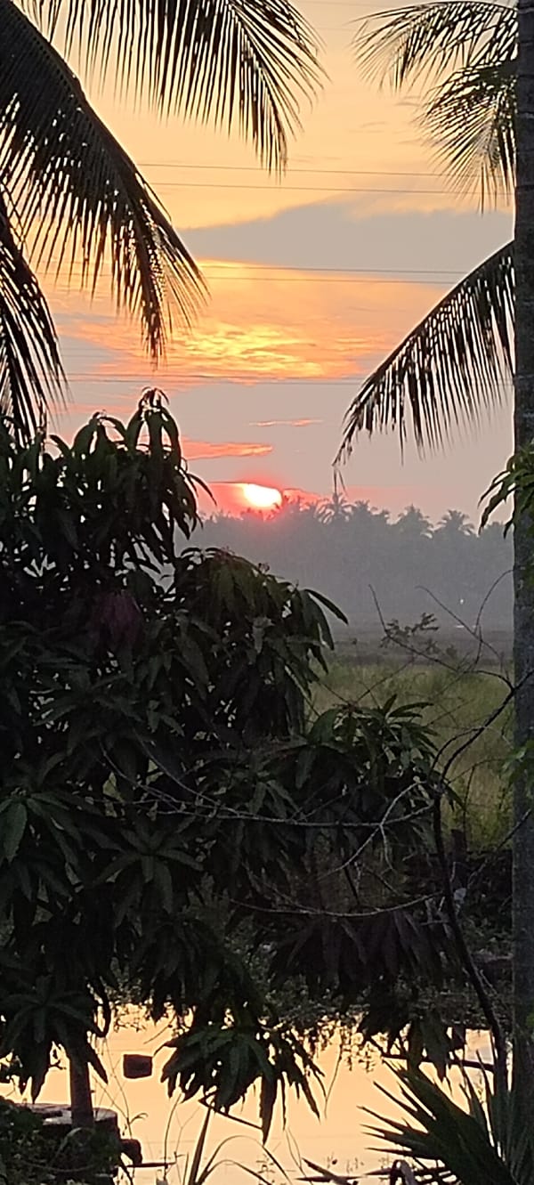 Sunset across rice paddies and rural outskirts of Lhokseumawe