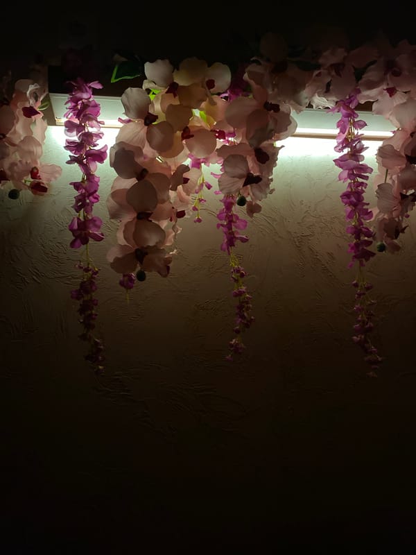 Southeast Asian-styled interior with cats, Buddhas, and décor