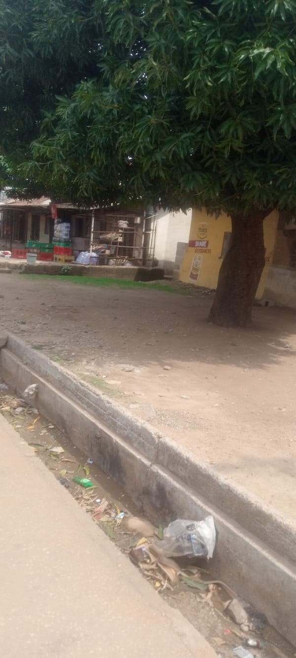Morning street life documented in Sabon Tasha, Nigeria