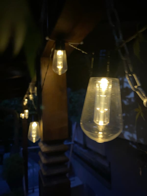 Garden details and evening light in Purkersdorf, Austria