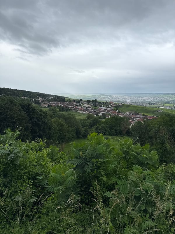 Panoramic valley village views captured from Champillon hillside