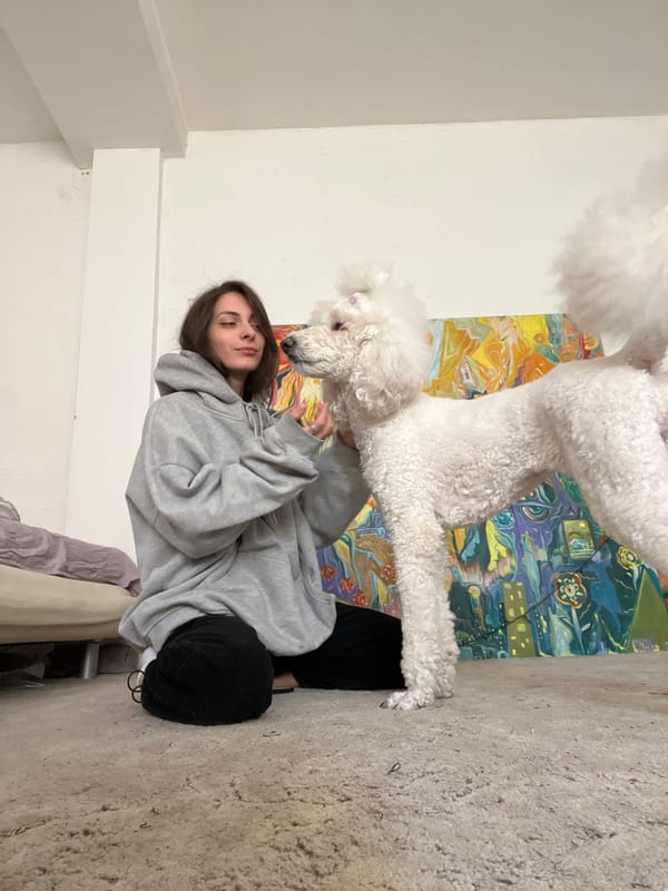 Woman plays with white poodle indoors in Krasnoyarsk