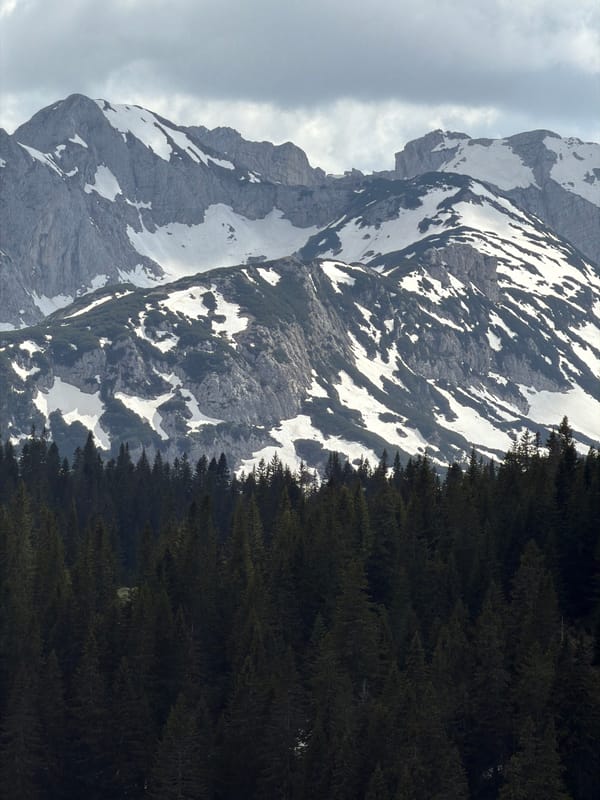 Snow-capped mountains and forests documented in Bosača, Montenegro