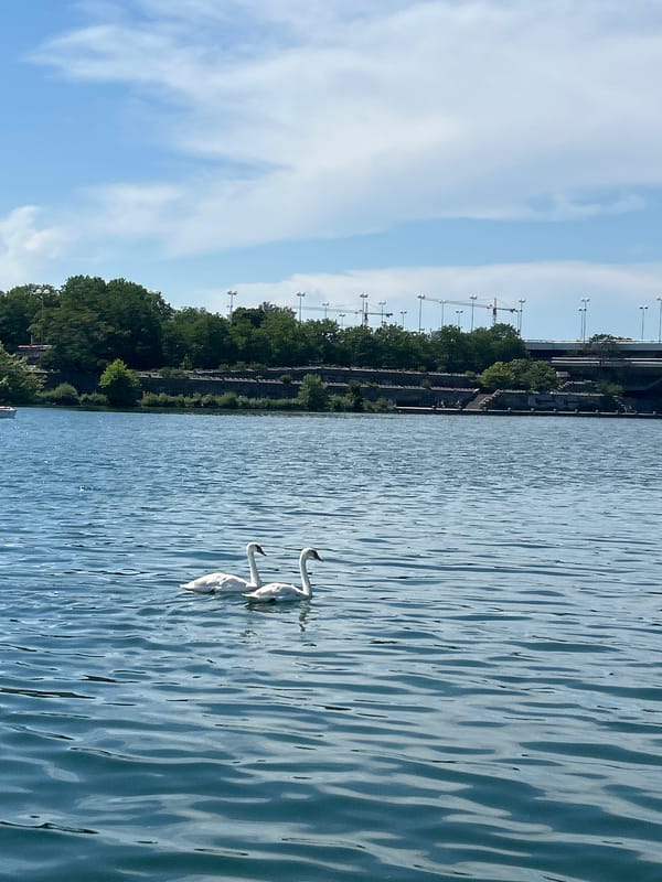 Sunny afternoon on the Danube, Donau City skyline in the backdrop