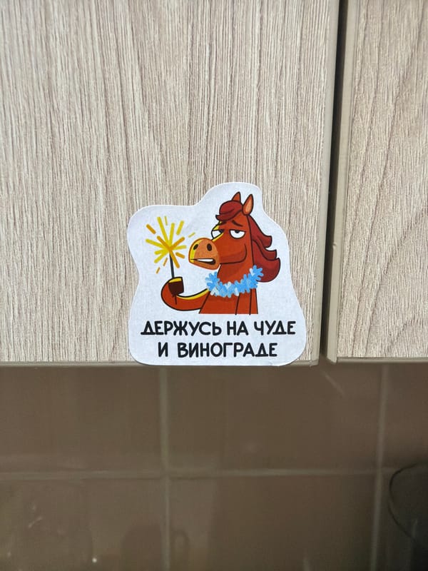 Everyday observations documented in Krasnoyarsk: decorative sticker, car photos
